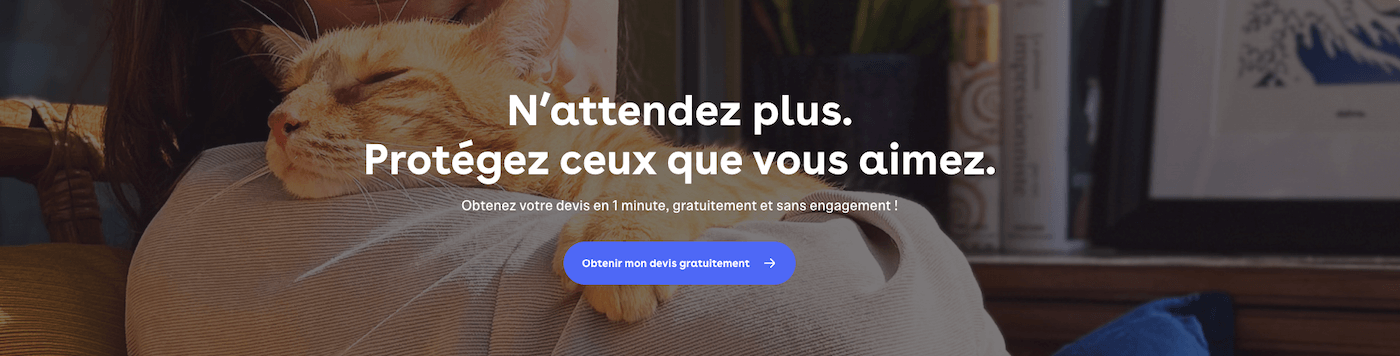 Dalma assurance pour chat