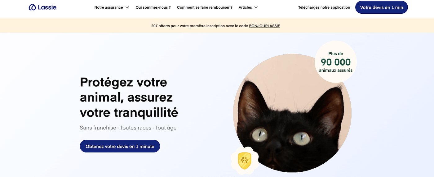 Lassie assurance pour chat